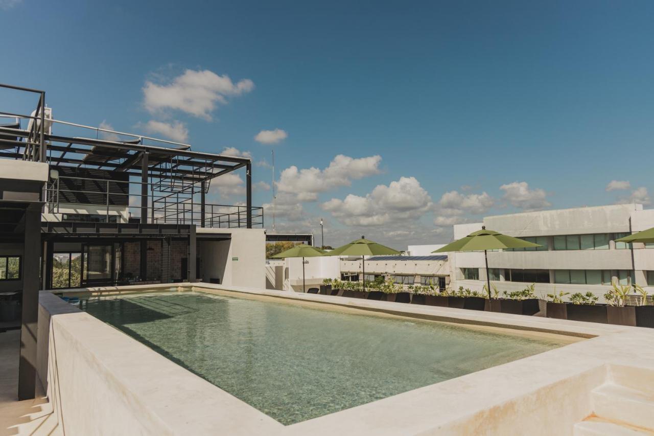 Caleta Hostel Rooftop & Pool Канкун Экстерьер фото