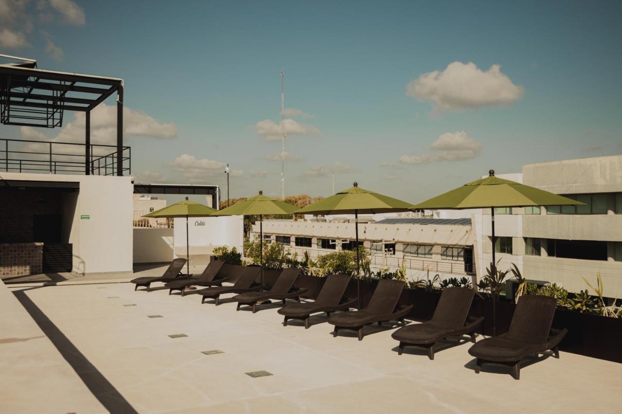 Caleta Hostel Rooftop & Pool Канкун Экстерьер фото